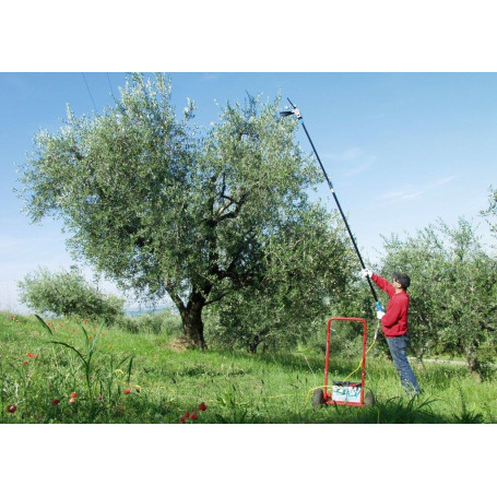 BATTERIA AL LITIO A ZAINO PER ABBACCHIATORI 12V 45,0AH 3,5KG CON  CARICABATTERIA - OLIVGREEN MINELLI - Centro per l'agricoltura