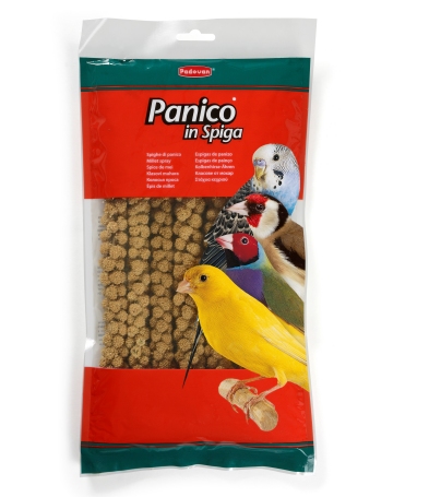 PANICO SPIGA GR. 250
