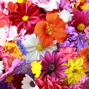 FIORI