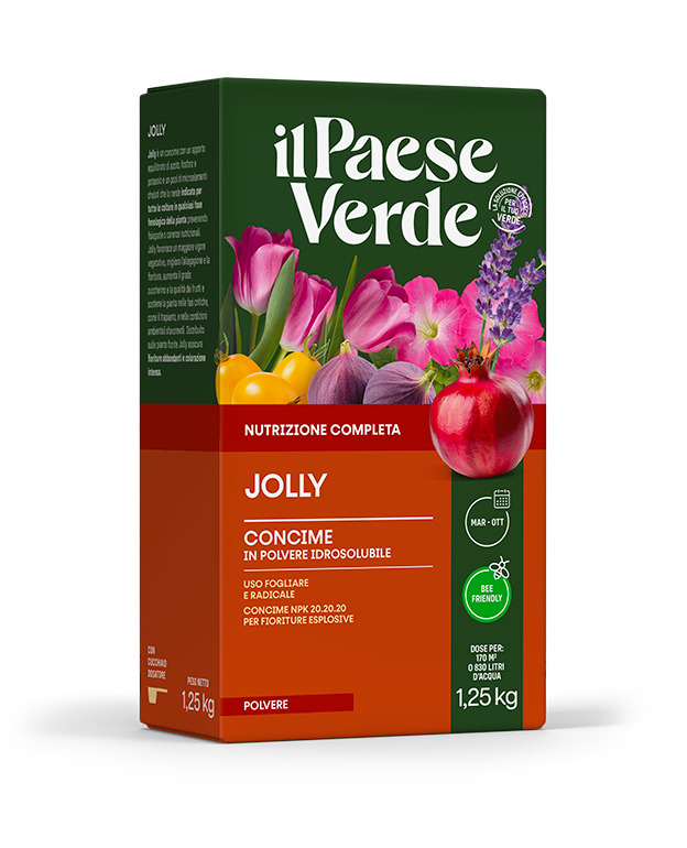 JOLLY Concime NPK 20.20.20 KG. 1,25